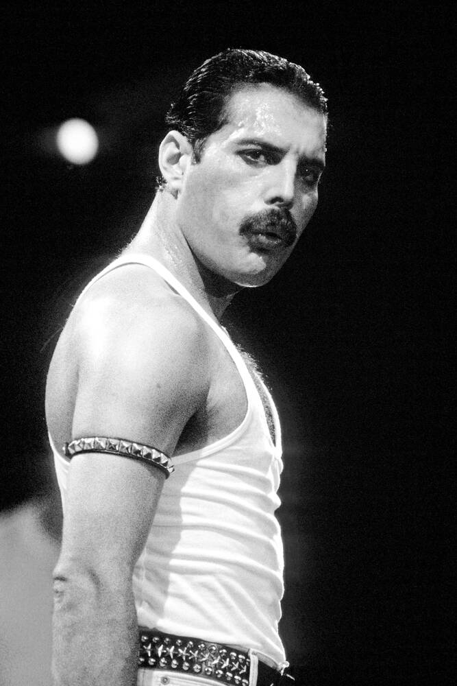 Queen / Freddie Mercury