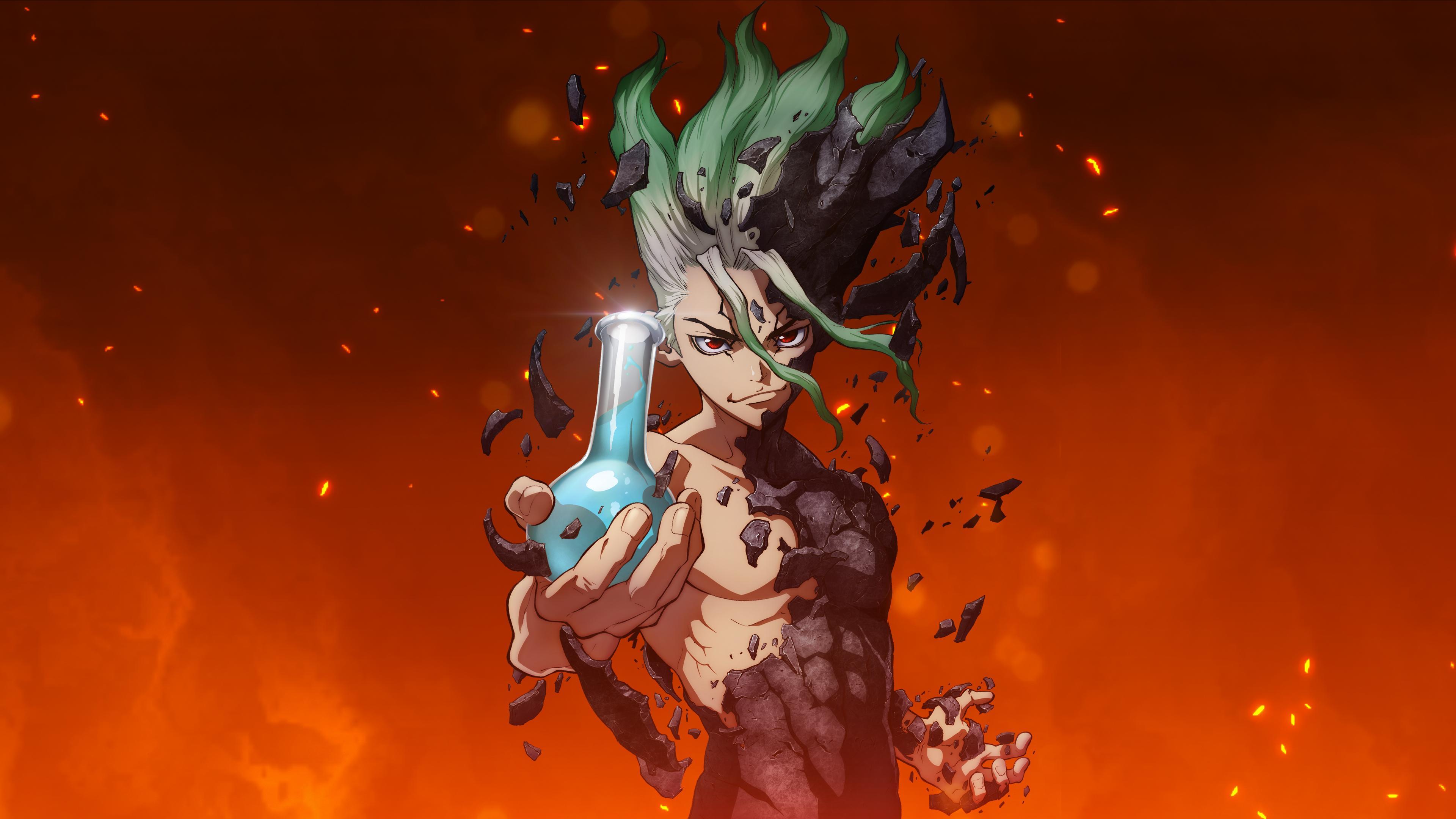 Dr. Stone